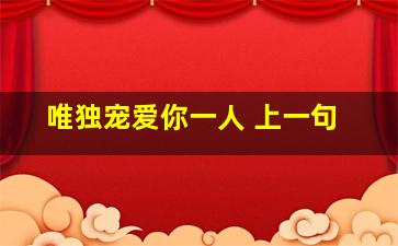 唯独宠爱你一人 上一句